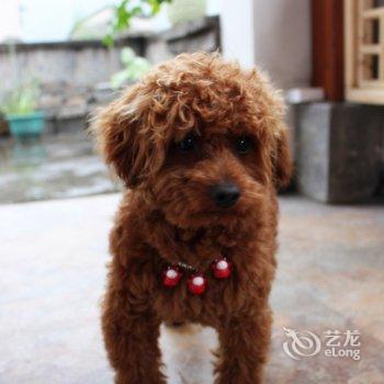 宏村半城烟雨今生缘客栈酒店提供图片