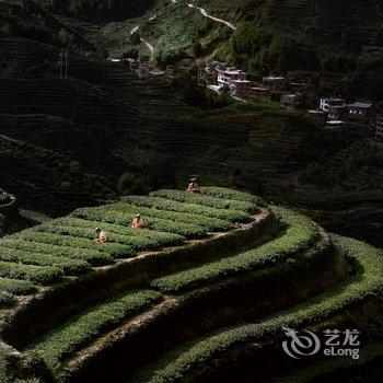 安溪悦泉行馆酒店提供图片