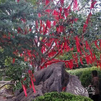 成都花水湾水湾居主题酒店酒店提供图片