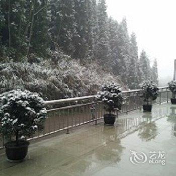 雅安碧峰峡高锋大酒店酒店提供图片