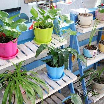 阳朔八间房客栈分店酒店提供图片