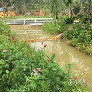 太和县沙颖河汽车露营地酒店提供图片