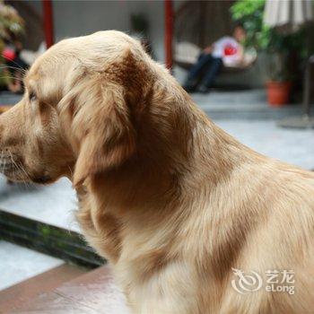 湘西花筑·悦凤凰古城坡山公馆客栈酒店提供图片