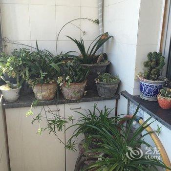北戴河海韵假日家庭公寓酒店提供图片