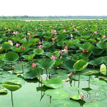 虎林市好时光商务酒店酒店提供图片