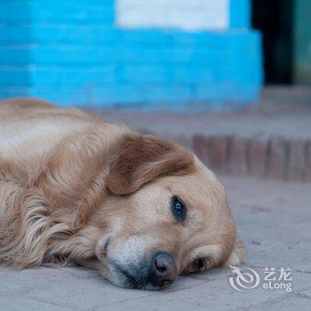 吐鲁番达卜青年旅舍酒店提供图片