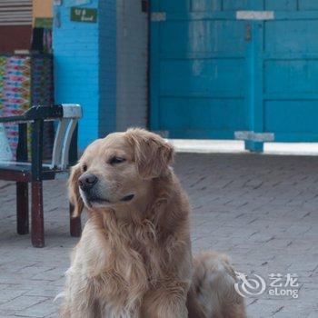 吐鲁番达卜青年旅舍酒店提供图片