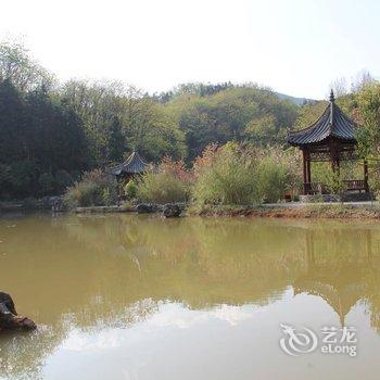 罗平曦城假日酒店酒店提供图片