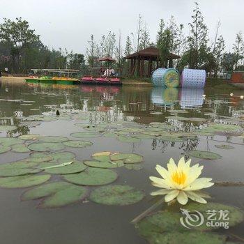 太和县沙颖河汽车露营地酒店提供图片