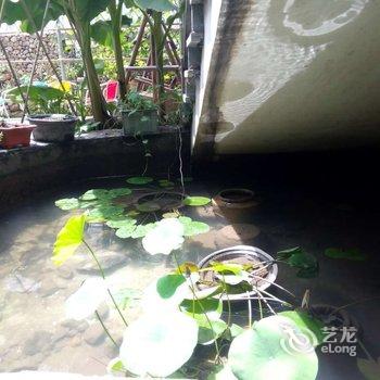 莫干山竹溪雅居农庄(农家乐)酒店提供图片