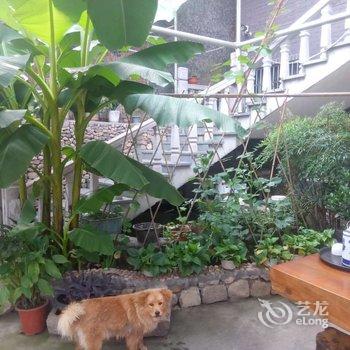 莫干山竹溪雅居农庄(农家乐)酒店提供图片