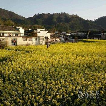 西递村头亮家客栈酒店提供图片