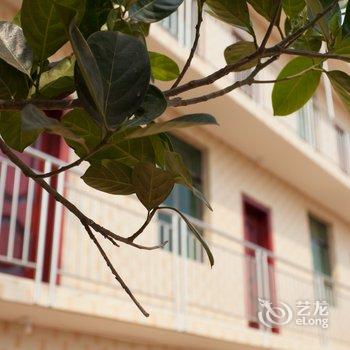 海口美祥旅馆酒店提供图片