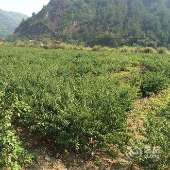 仙居县仙花农家土菜馆酒店提供图片