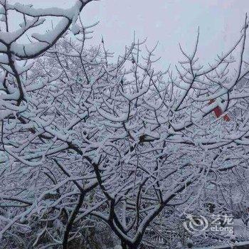 德清莫干山简生活酒店提供图片