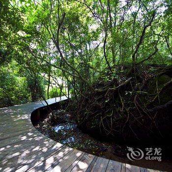 福鼎太姥山葫芦酒店酒店提供图片