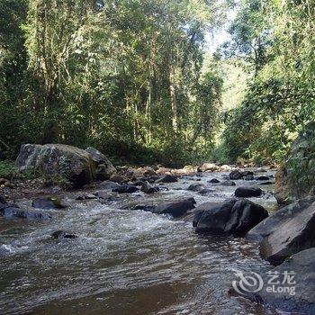 勐腊宝牛山庄酒店提供图片