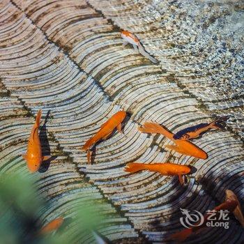 大理双廊梵尘空间客栈酒店提供图片