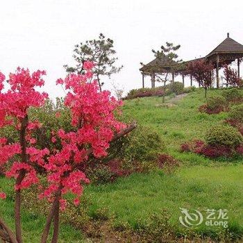 巢湖金孔雀温泉旅游度假村酒店提供图片