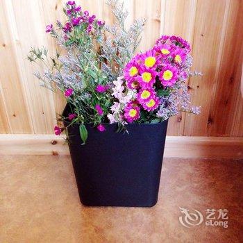 乌镇东栅花月到家临河民宿酒店提供图片