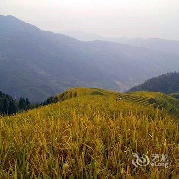 龙胜龙脊平安山庄酒店提供图片