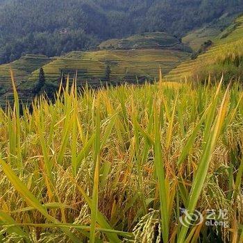 龙胜龙脊平安山庄酒店提供图片