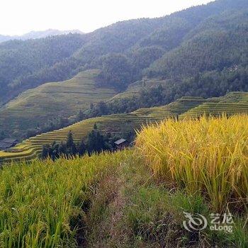 龙胜龙脊平安山庄酒店提供图片