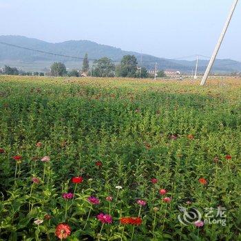 长白山池西福地假日宾馆酒店提供图片