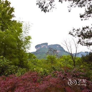 武夷山观景山房酒店提供图片