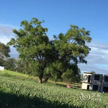 沽源天鹅湖秀水山庄酒店提供图片