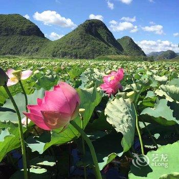 普者黑野牛部落客栈酒店提供图片