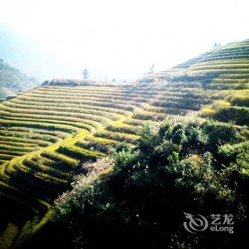 龙胜龙脊田景客栈酒店提供图片