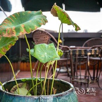 重庆奇乐休闲酒店酒店提供图片