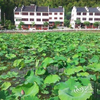 丽水诗画利山农家乐酒店提供图片