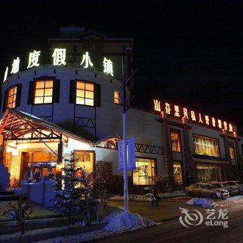 飞鸟假日酒店(崇礼万龙滑雪场店)酒店提供图片