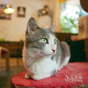 阳朔橙风尚酒店酒店提供图片