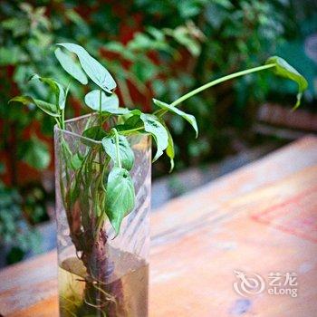 阳朔橙风尚酒店酒店提供图片
