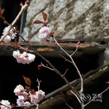 稻城彭措德勒花园精品酒店酒店提供图片