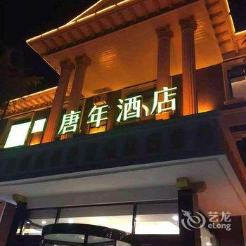 唐年酒店(邯郸广平人民路店)酒店提供图片