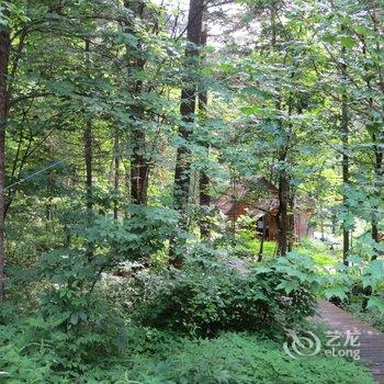 伊春市五营国家森林公园绿野仙居度假村酒店提供图片