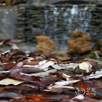 西岭雪山龙池温泉度假山庄酒店提供图片