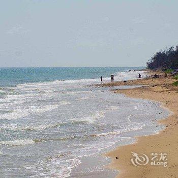 北海涠洲岛滨海海景木屋酒店提供图片