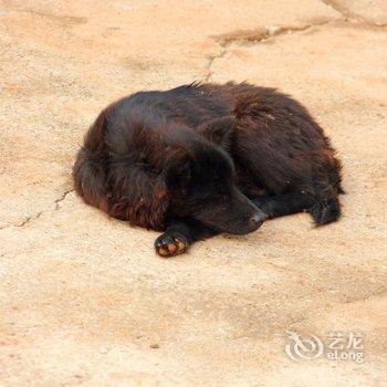 北海涠洲岛小岛农家酒店提供图片