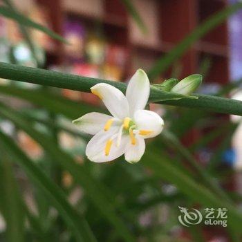 林芝心月宾馆酒店提供图片