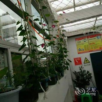 林芝心月宾馆酒店提供图片
