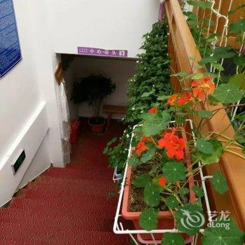 林芝心月宾馆酒店提供图片