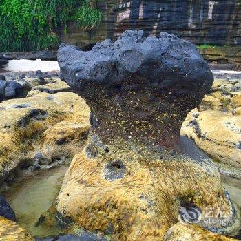 北海涠洲岛水中央度假酒店酒店提供图片