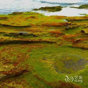 北海涠洲岛水中央度假酒店酒店提供图片