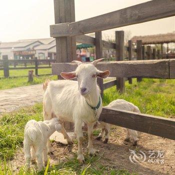 无锡田园东方花间堂·稼圃集温泉别墅酒店提供图片