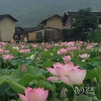 南靖云水谣达杉客栈酒店提供图片